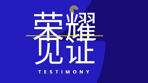 【见证集】- 20250629