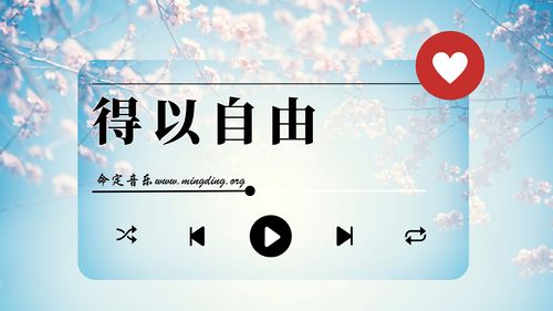 【命定音乐】第176首 -《得以自由》