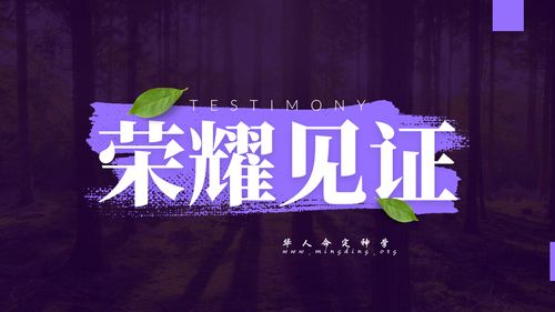 【见证集】- 20250803