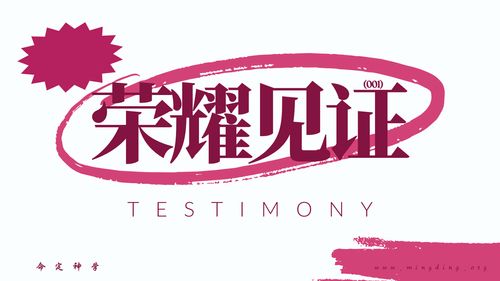 【见证集】- 20250824