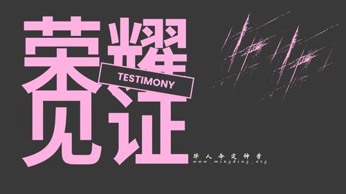 【见证集】- 20251005