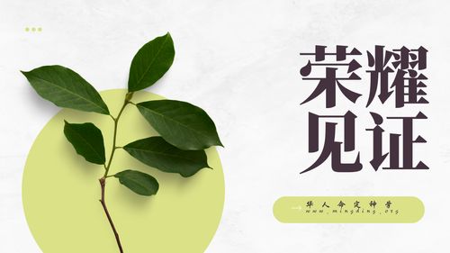 【見證集】- 20251026