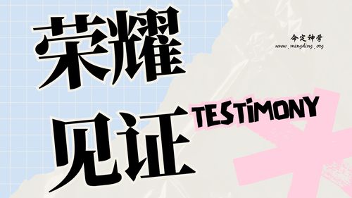 【见证集】- 20251116