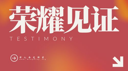 【见证集】- 20251123