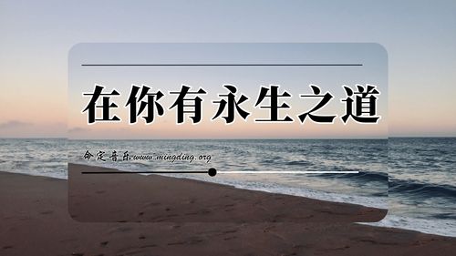 【命定音乐】第200首-《在你有永生之道》