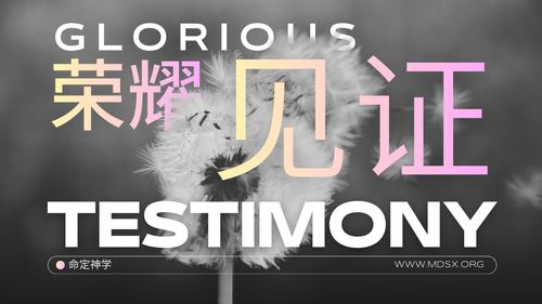 【见证集】- 20260308