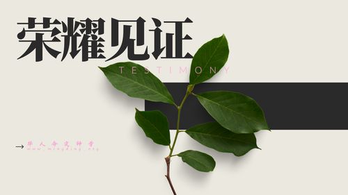 【見證集】- 20260405