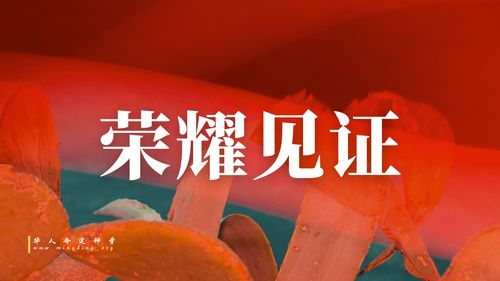 【见证集】- 20260510