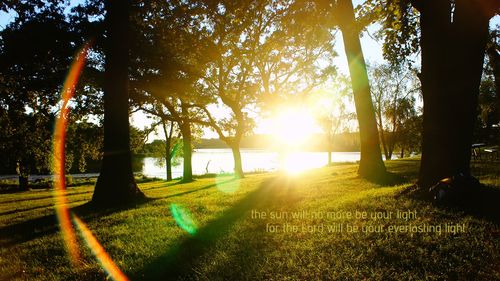 【见证】腰闪到了，很快就得了医治！ - ZH弟兄