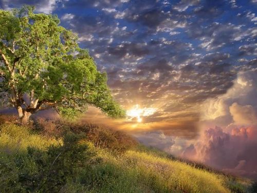 【查经】以斯帖记 03章 - 神创造灭绝仇敌的机会