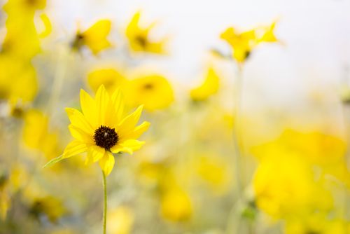 【见证】头疼得医治 - HL姐妹 （9月2日）