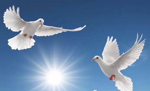 【见证】自己祷告瘊子消失了！ - KR姐妹 （10月9日）