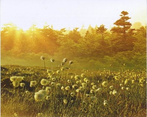 【见证】头痛发烧得医治 - YL姐妹 （10月30日）